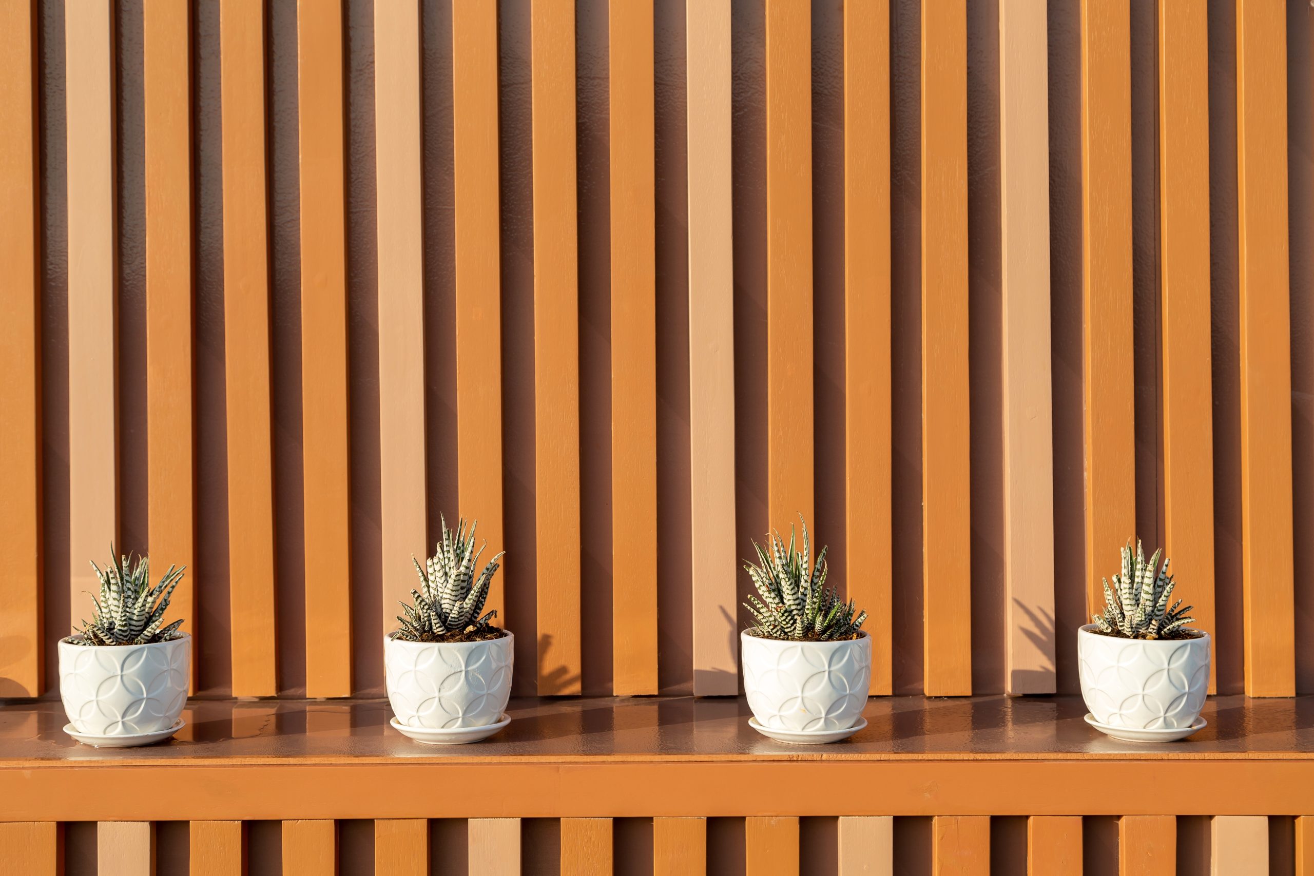 Decks and Fences